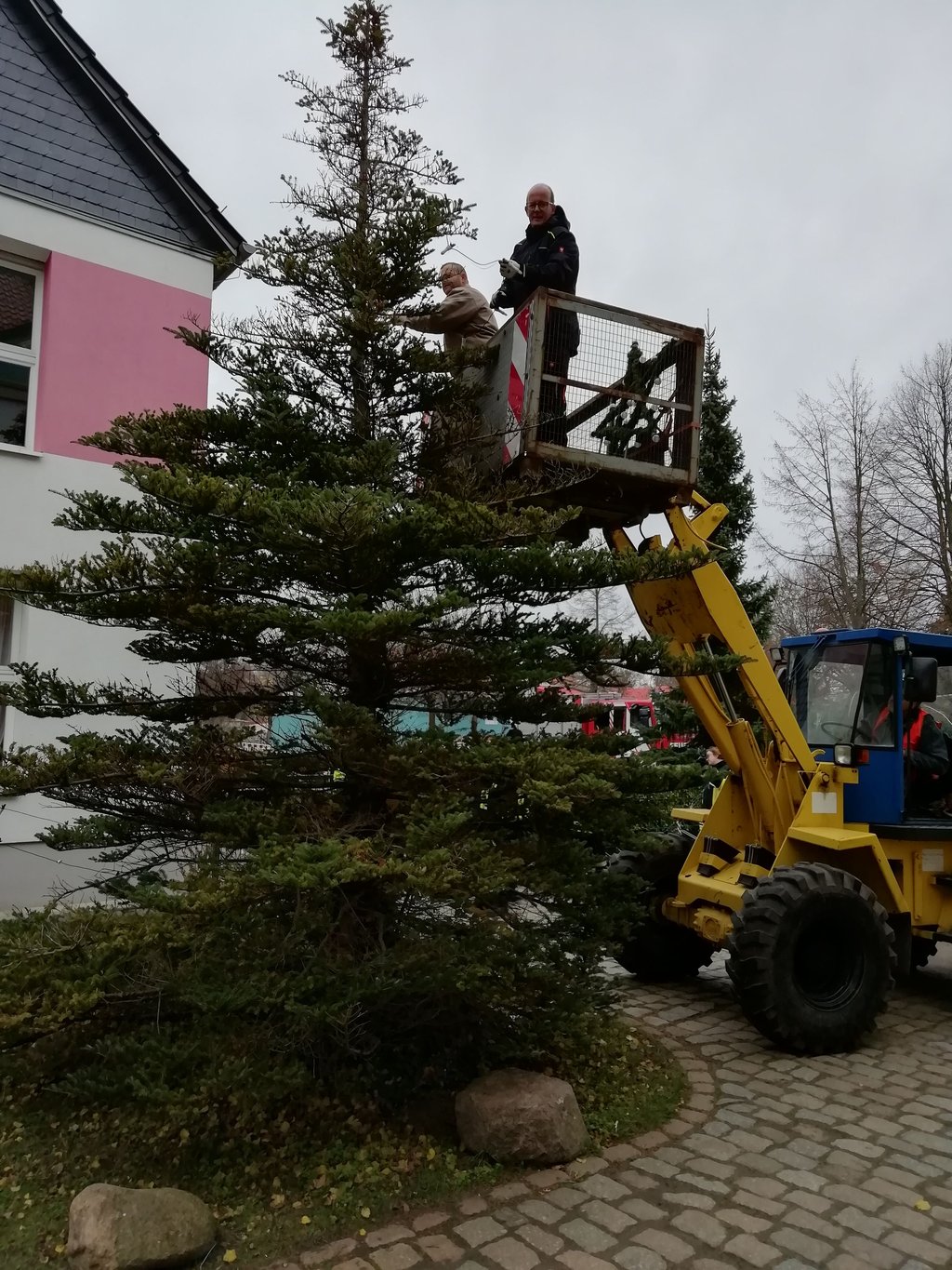 Einer der insgesamt drei Weihnachtsbäume in Weferlingen steht. Jetzt muss er nur noch geschmückt werden. Gespendet hatte die Bäume Manfred Schröter aus Klinze.