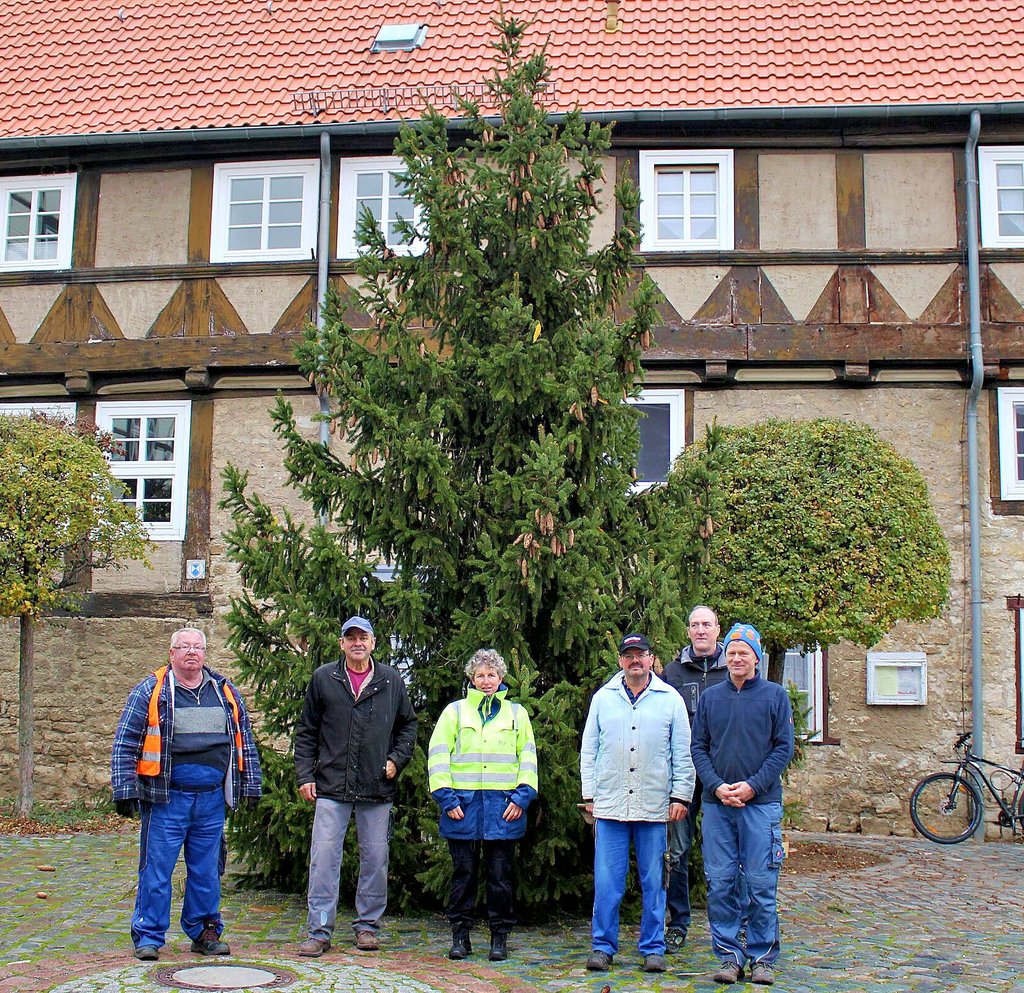Der Baum in Badersleben steht: Die Gemeindearbeiter Rüdiger Nowack und Martin Bode, Ilka Linkohr, Michael Gläser, Olaf Beder und Heiko Bode, der die Technik zur Verfügung gestellt hat (v.l.).