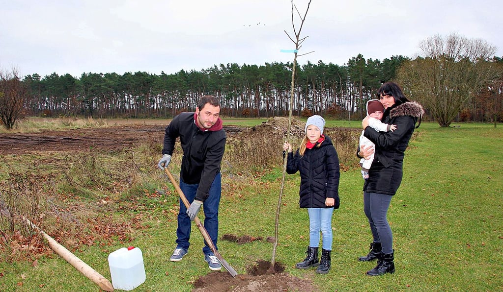 Die Eltern Antje Rohloff und Christian Schwab pflanzen gemeinsam mit Tochter Aimee den Apfelbaum für den kleinen Coen ein, der im August dieses Jahres auf die Welt kam.