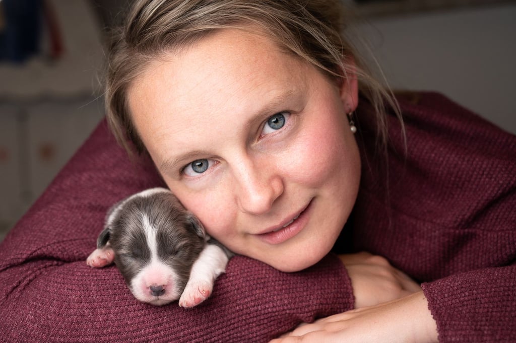 Border Collies von "Grace of Angel´s Home"
