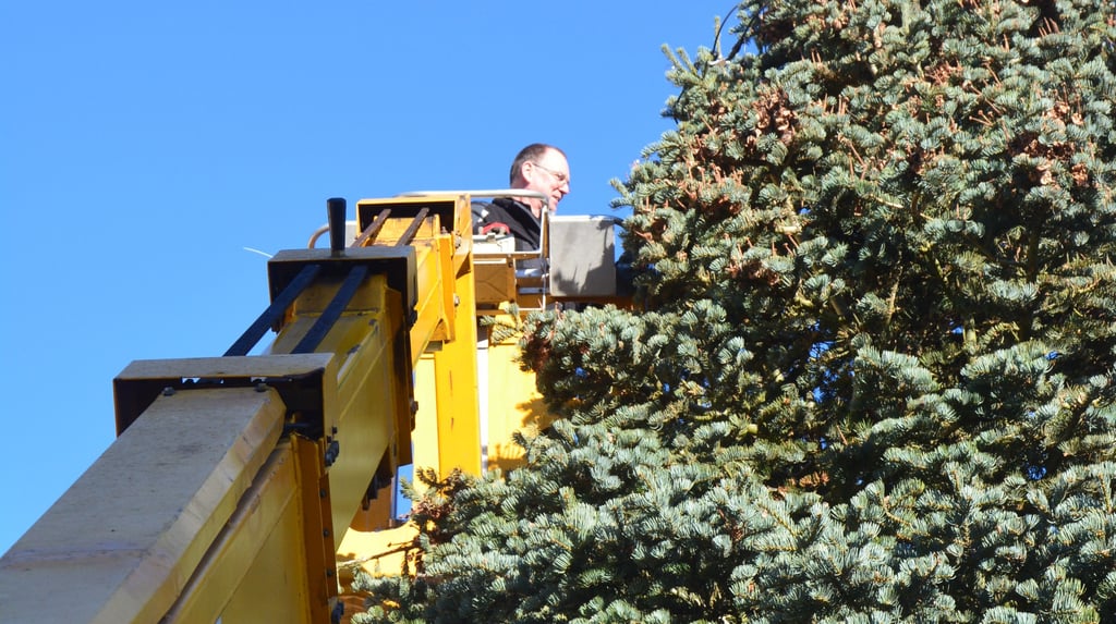 Jens Mülchen (Elektro-Margerin) versah die Colorado-Tanne auf dem Osterburger Hilligesplatz gestern mit neuer Beleuchtung. Der Baum misst gekappt rund 10 Meter und wog etwa 1500 Kilogramm.