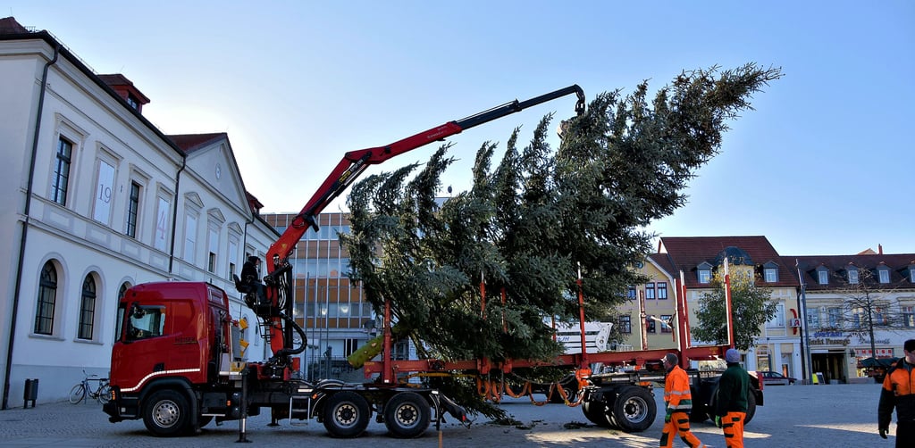 Am Montag wurde der Weihnachtsbaum auf dem Markt aufgestellt.