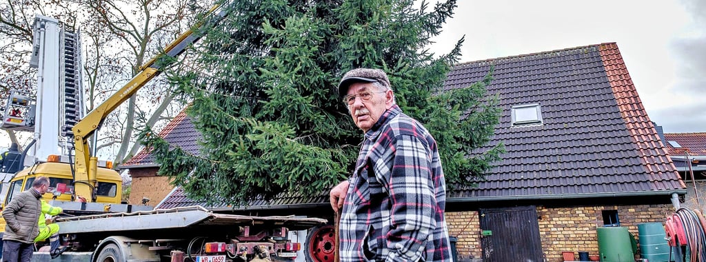 Weihnachtsbaum wird aufgestellt.