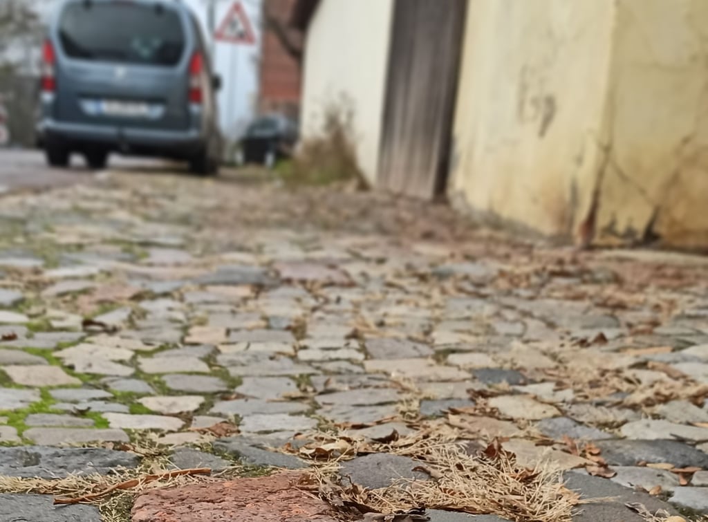 Kopfsteinpflaster sorgt an vielen Stellen in Alt-Olvenstedt für Probleme.