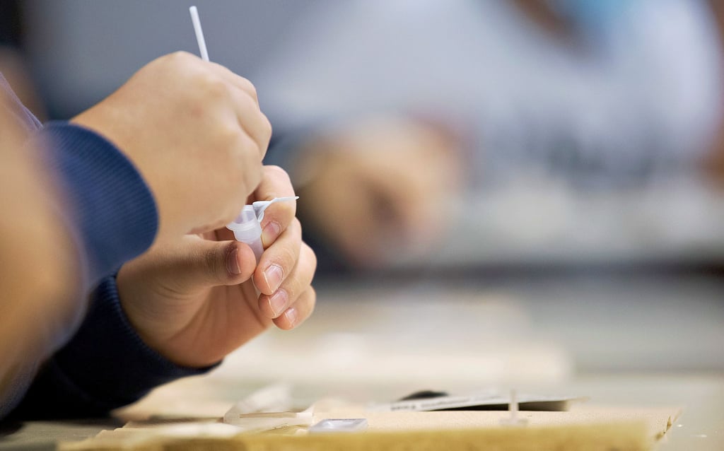 Ab kommender Woche müssen Schüler in Sachsen-Anhalt an jedem Unterrichtstag einen Corona-Selbsttest mit Nasenabstrich in der Schule durchführen.