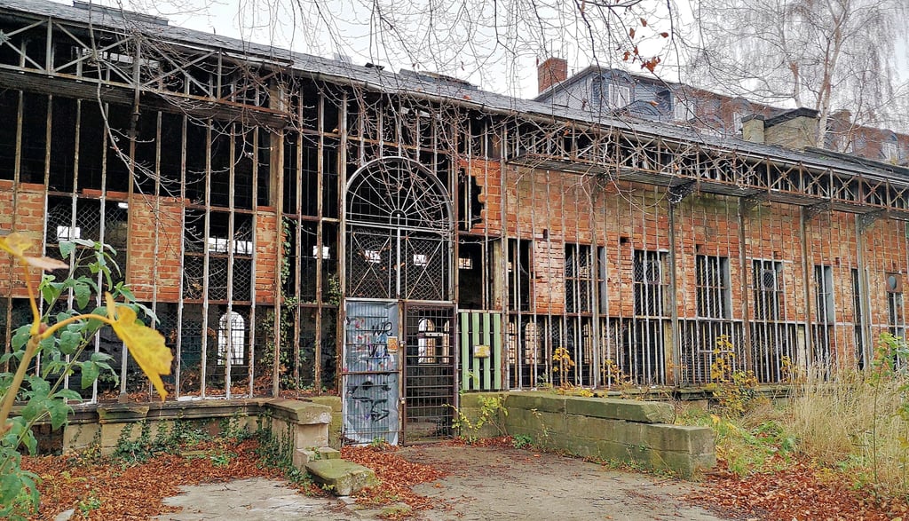 Das Palmenhaus im Wernigeröder Lustgarten steht seit Jahrzehnten leer und ist dem Verfall preisgegeben. Trotz mehrerer Besitzerwechsel wurde das Objekt bislang nicht saniert und mittlerweile ein Lost Place.