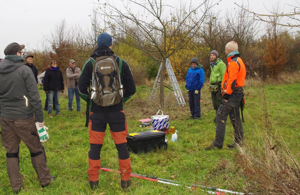 Zum Kurs Obstbaumschnitt auf der Streuobstwiese im Gersdorfer Kessel konnten die Baumwarte zwei Dutzend Interessenten begrüßen.