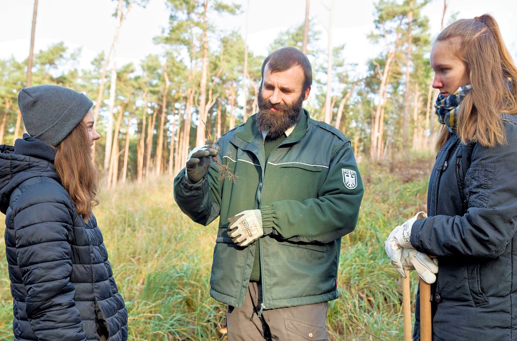 Vor der Pflanzaktion in der Annaburger Heide erklärte Revierförster Thomas Schimmel Jugendlichen den Aufbau der winzigen Pflanzen, aus denen mal starke Eichen werden sollen.
