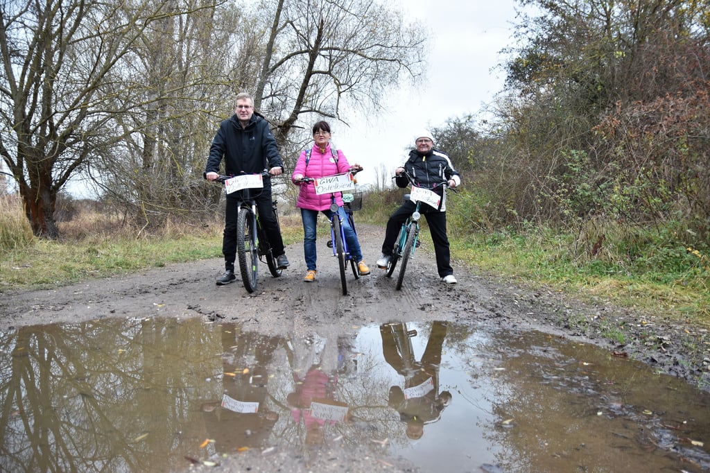 Schlammige Pfütze am Rundweg um den Prester See in Magdeburg. Vertreter der GWA Ostelbien setzten sich für eine Befestigung der Strecke ein.