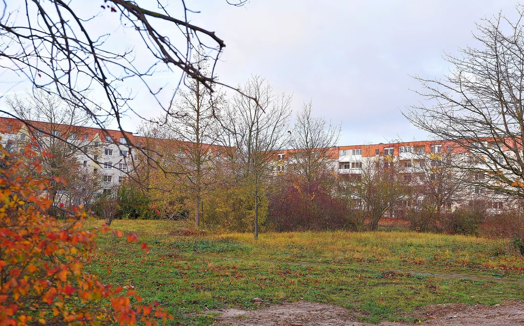 In der Rüsternbreite wird sich in den nächsten Jahren vieles verändern, wenn das Projekt „Quartierentwicklung“ eine Förderung erhält.