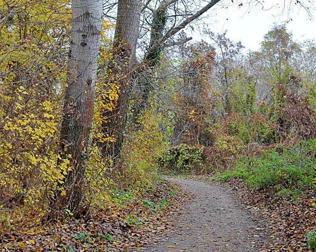 Der Trampelpfad führt von der Lehrter Straße in die Horst.