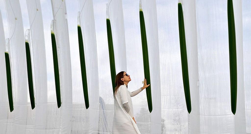 Die Klötzer Algenfarm war in Glasgow gemeinsam mit dem englischen renommierten Design- und Architekturstudio Ecologic Studio vertreten und zeigte einen pneumatischen Bioreaktor.