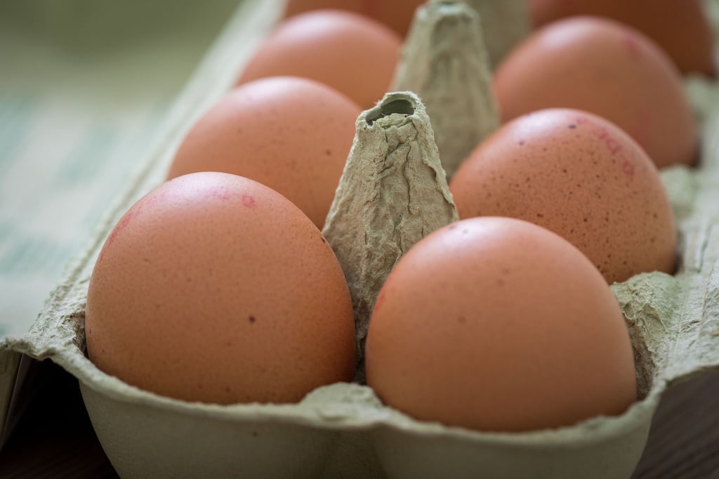 Nach dem Kauf sollten Eier direkt in den Kühlschrank - allerdings nicht in die Türfächer. Dort kann es Temperaturschwankungen geben.