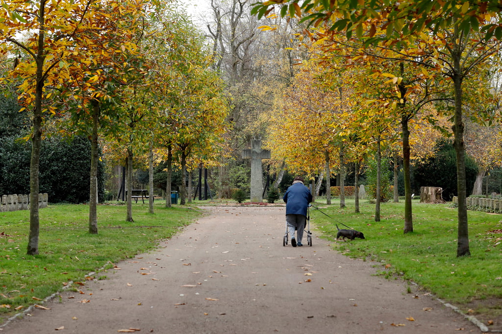 Hunde sind künftig erlaubt, sofern sie an der kurzen Leine gehalten werden - jedoch ausschließlich auf dem Hauptfriedhof der Kernstadt.