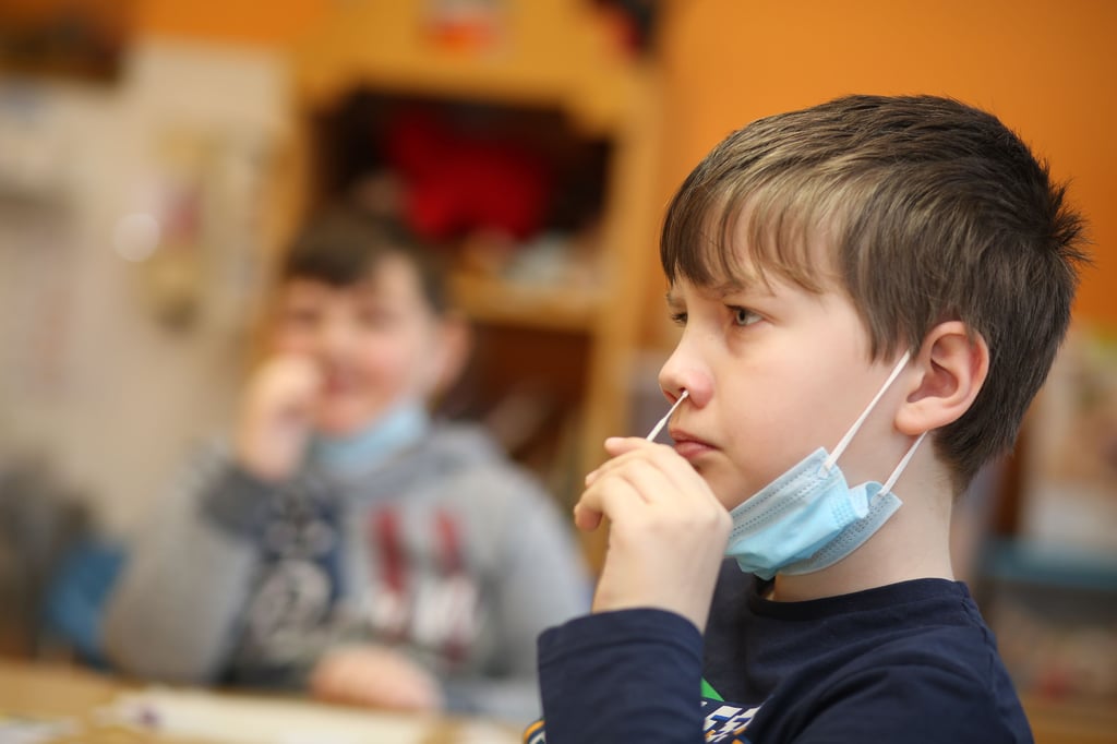 Auch an Schulen gab es im Altmarkkreis Salzwedel Neuinfektionen.