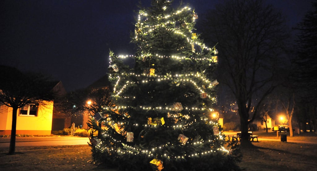 Bringt Licht in die Dunkelheit: der Weihnachtsbaum vor dem Preußenhaus in Mützel.