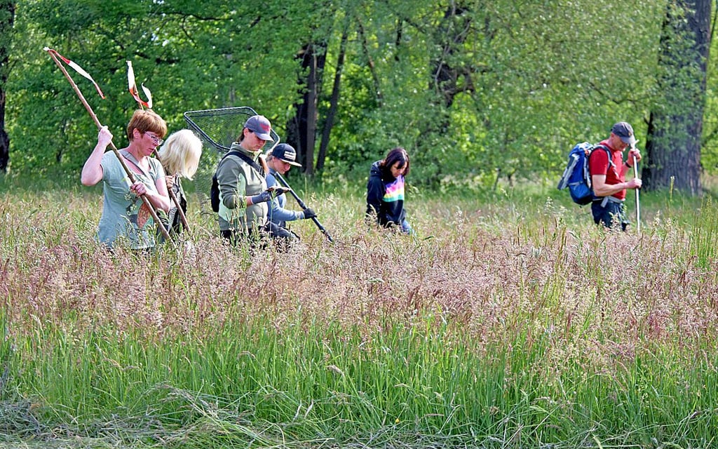 Im vergangenen Sommer waren freiwillige Helfer auf vielen Wiesen in der Region auf der Suche nach Rehkitzen unterwegs, hier bei Wadendorf .