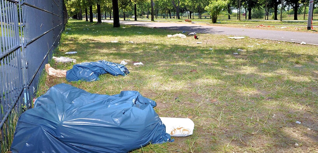 Müll in der Landschaft – hier am Elbauenpark in Magdeburg – verursacht jährlich Kosten.