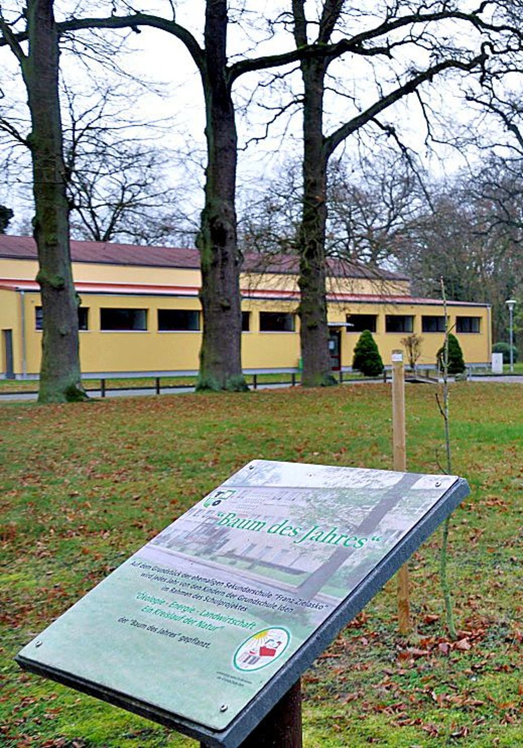 Vor der Idener Turnhalle sollen Fitnessgeräte aufgestellt werden.