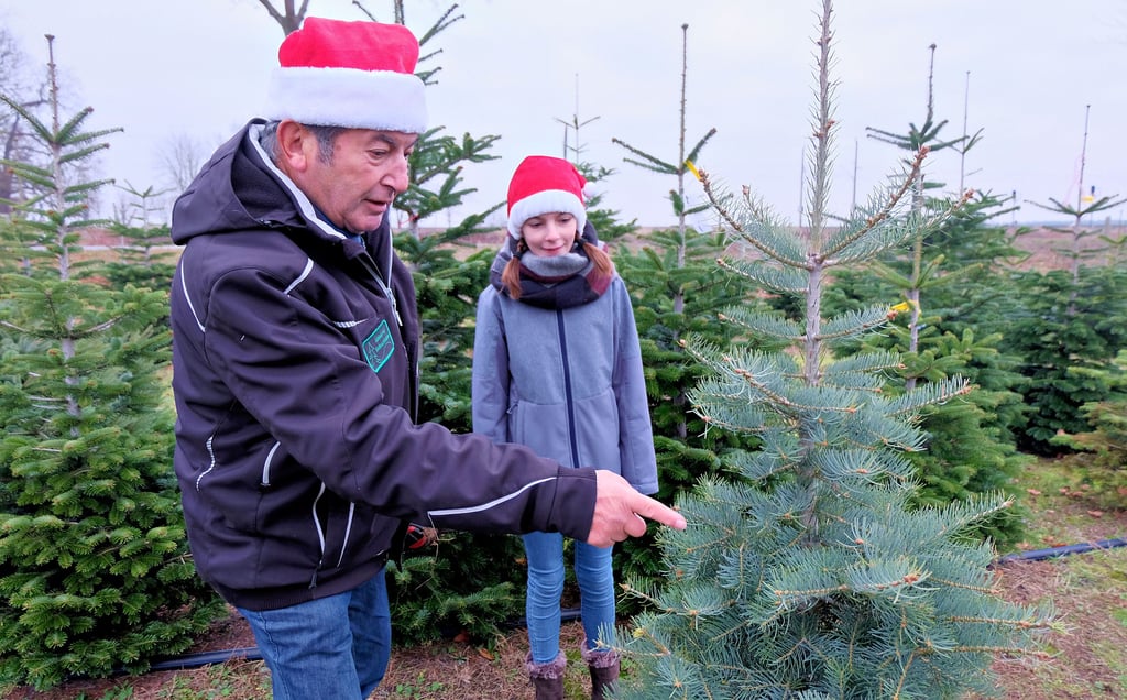 Günter Thiele aus Ruhlsdorf erklärt seiner Enkelin Nele Pflug, dass dieser Baum super gewachsen ist und eine gute Höhe hat.