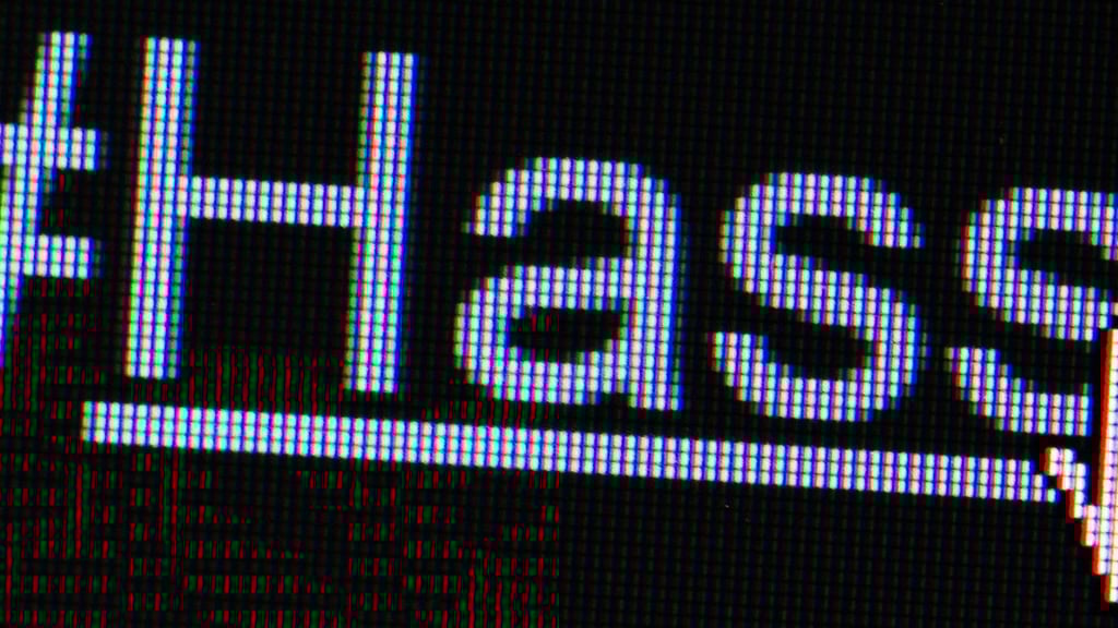 Die Polizei in Sachsen-Anhalt führte Durchsungen im Rahmen des bundesweiten Aktionstags gegen Hasspostings im Internet durch.