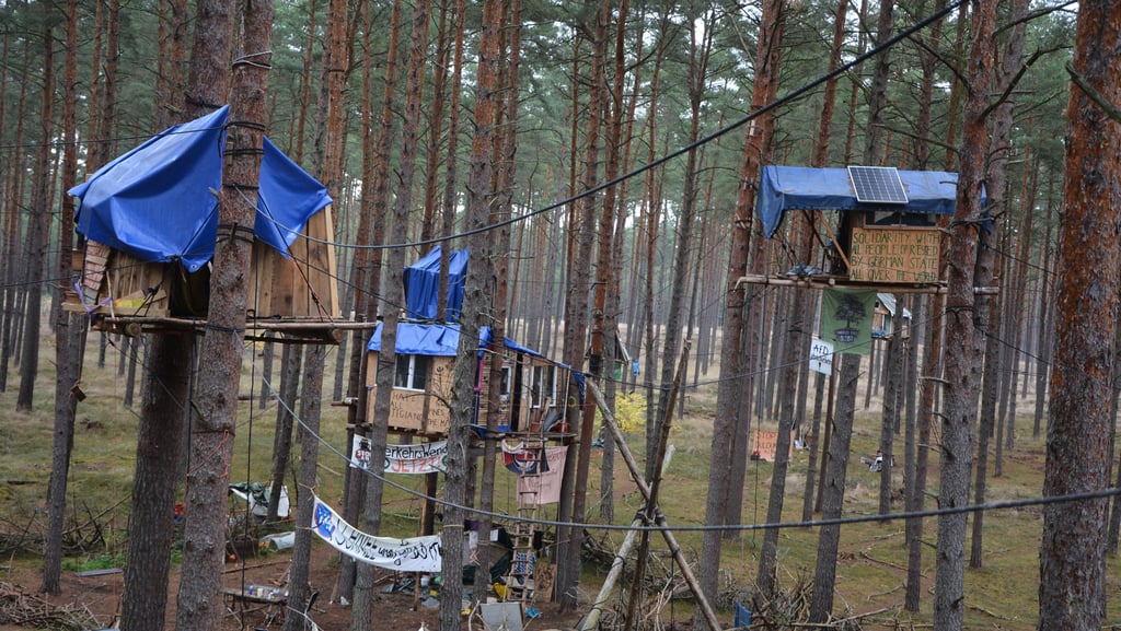 Waldbesetzer in Losse: In einem Eilbeschluss weist das Verwqaltungsgericht Magdeburg den Antrag der A-14-Gegner ab.