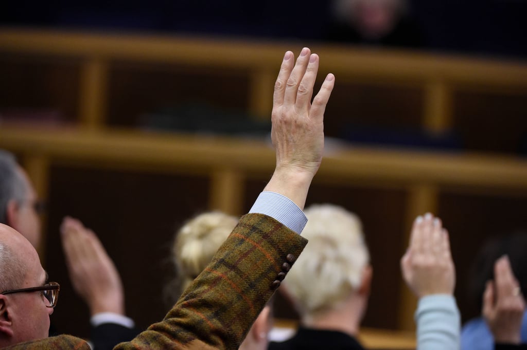Ein Handzeichen in einer Ratssitzung (Symbolbild)