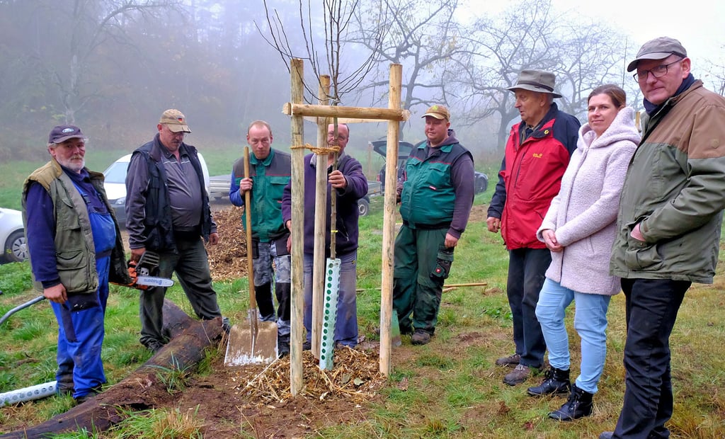 Börneckes Bürgermeister Rüdiger Klamroth und Gemeindeassistentin Nancy Bauer dankten Hans Klingner (von rechts) mit seinen Kollegen vom Erlebnisbauernhof - David Kohlhase, Volker Colmsee, Enrico Süß, Hansi Fischer und Axel Altner - für die Arbeit auf der Streuobstwiese.