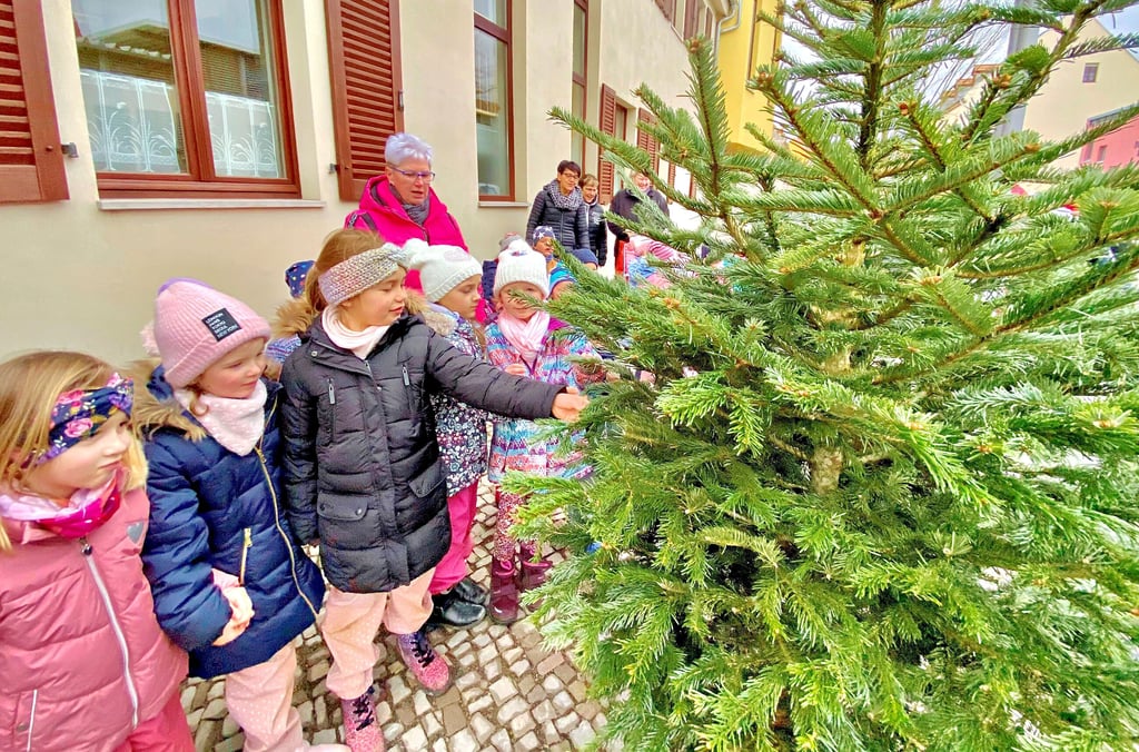 Die Kinder der Bernburger Kita „Marienkäfer“ wollen das Bäumchen mit selbst gebastelter Dekoration schmücken.