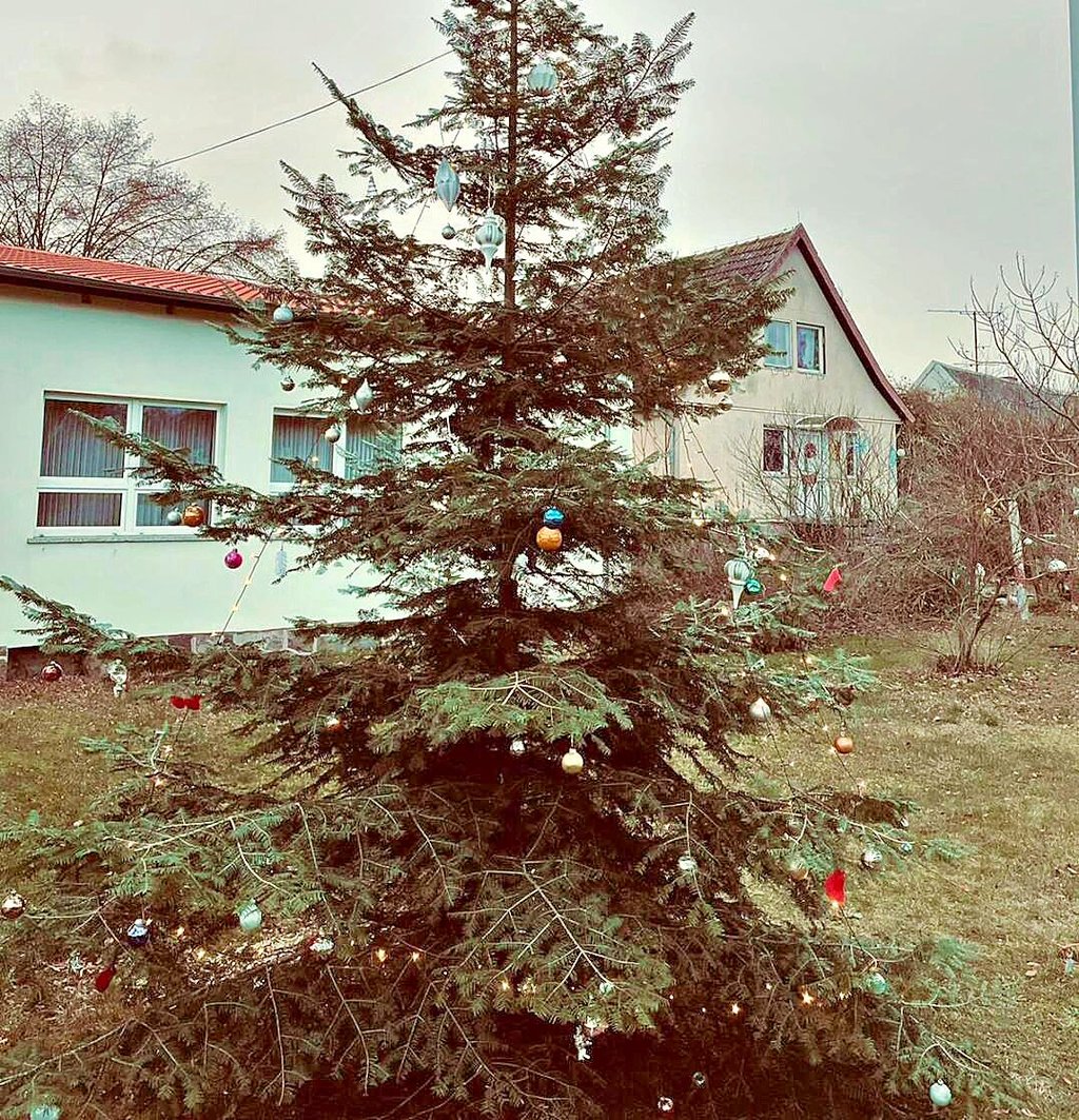 Der Weihnachtsbaum in Kaulitz steht neben dem Dorfgemeinschaftshaus und dem Bücherhäuschen.