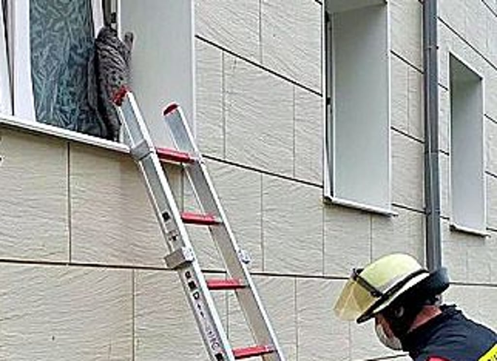 Ein Kamerad auf dem Weg zu der eingeklemmten Katze.