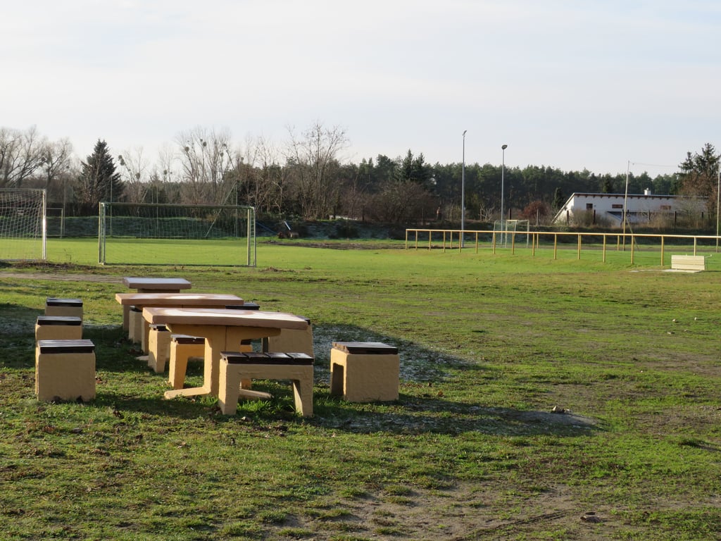 Der Sportplatz am Eschenweg in Gerwisch soll jetzt einen Kunstrasenplatz erhalten.