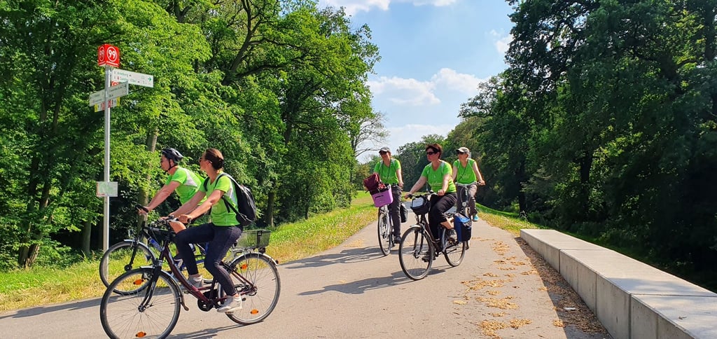 Radtouristen können sich im nächsten Jahr auf eine neue Strecke am Elbe-Havel-Kanal im Jerichower Land freuen.