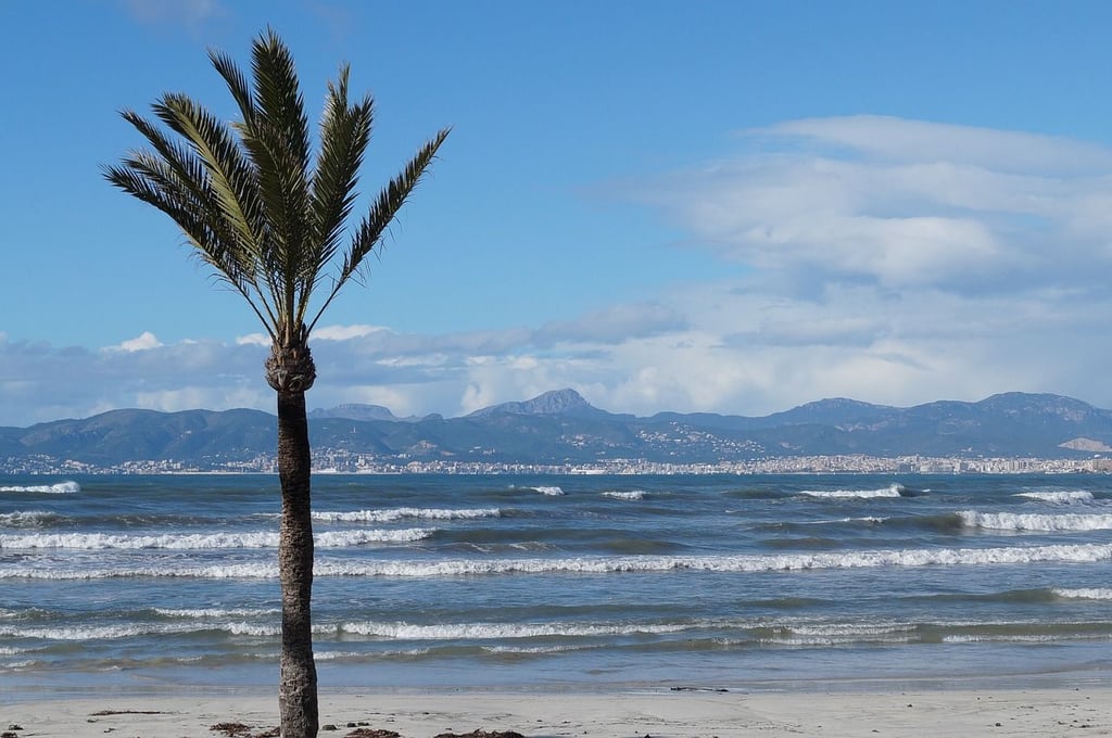 Auch im Winter hat Mallorca seinen Reiz