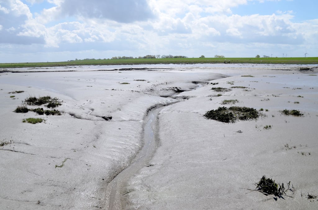Der Langwarder Groden ist Teil des Unesco-Welterbes Wattenmeer.