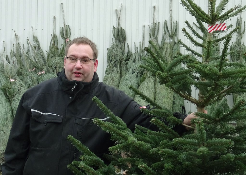 Andreas Stock aus Ferchlipp (Lichterfelde) verkauft Weihnachtsbäume. Er erhielt sie auf Provision von einem Händler. Seine eigenen Bäume sind während der Dürrejahre vertrocknet.