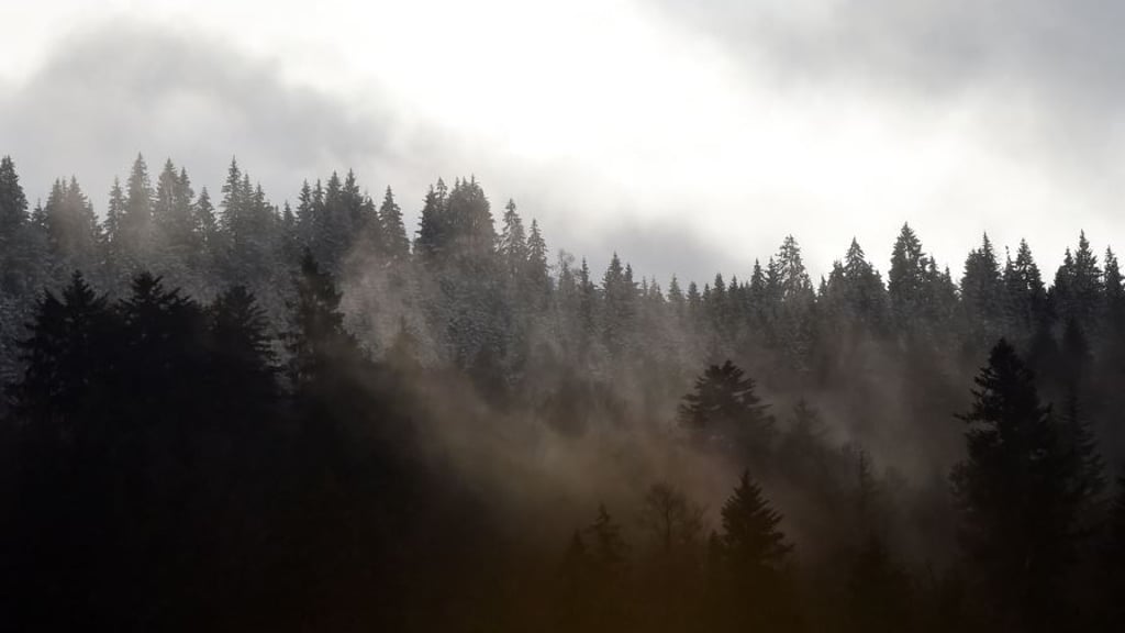 Fritz Meineckes YouTube-Kanal zählt über 1,6 Millionen Abonnenten.