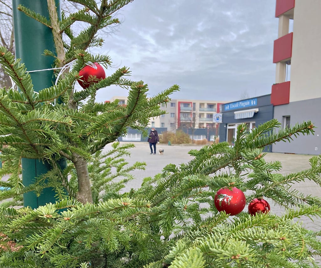 Unter dem Titel „Olvenstedt im Advent“ sind in Magdeburg Weihnachtsbäume im Bereich vom Marktplatz „Olven I“ aufgestellt worden, die von Passanten und Anwohnern dekoriert werden können.