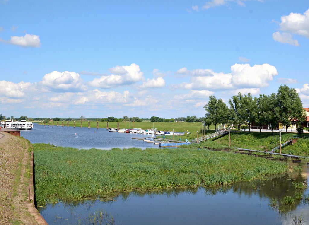 So sieht der Tangermünder Hafen im Bereich kurz hinter dem Tangerzufluss aus, wenn der Wasserstand der Elbe niedrig ist und damit auch der des Hafens sinkt. Unter diesen Voraussetzungen ist es nicht möglich, das geplante „Marina“-Projekt zu realisieren.
