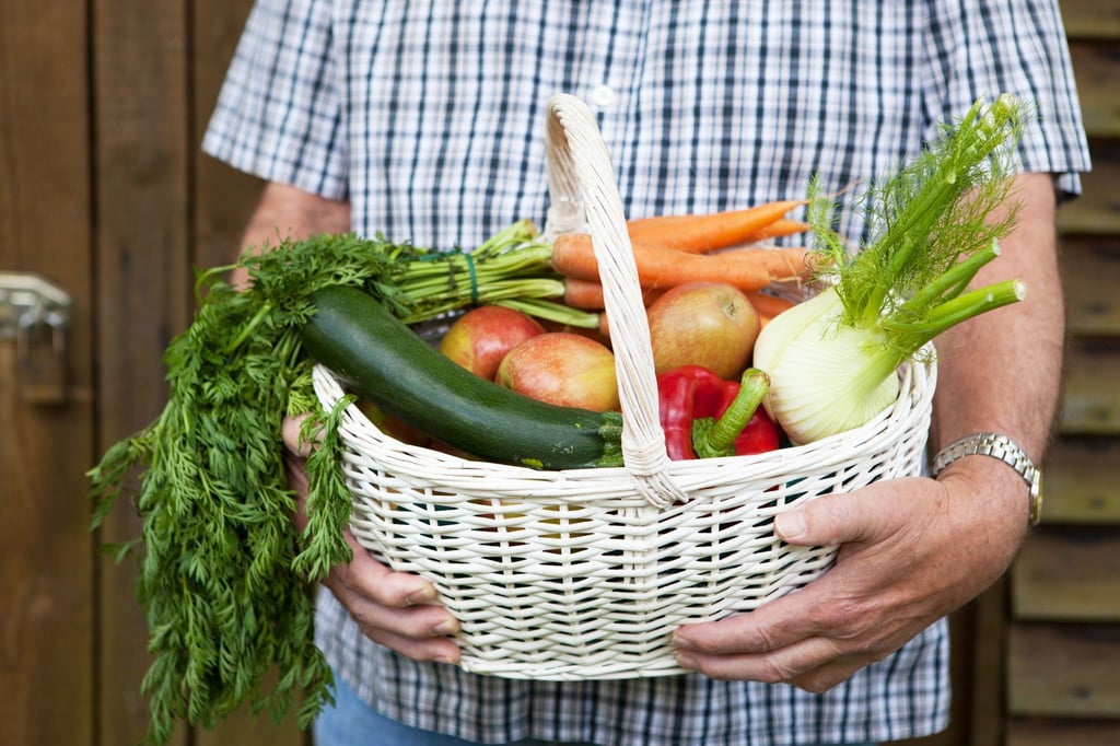 Sich Obst und Gemüse im Abo liefern zu lassen, ist eine bequeme Sache. Und man hat das Gefühl, die regionale Landwirtschaft zu stärken.