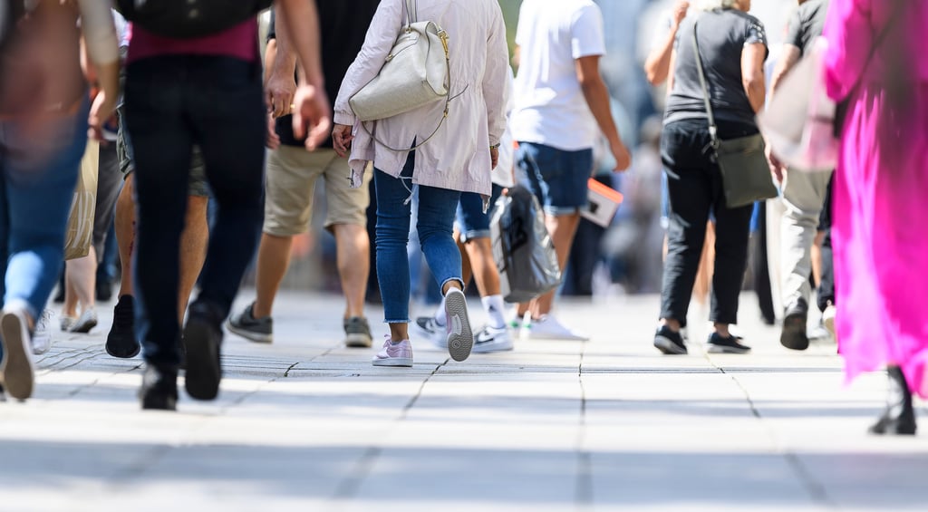 2022 wird in der Region Genthin gezählt.