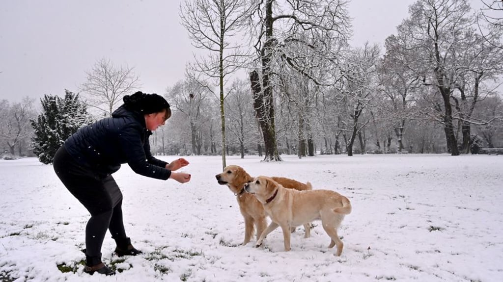 Maria genießt das Winterwetter mit ihren beiden Hündinnen Sam und Laika im Magdeburger Nordpark. Ganz aus dem Häuschen waren die beiden Hunde bei ihrem Spiel im ersten Schnee.