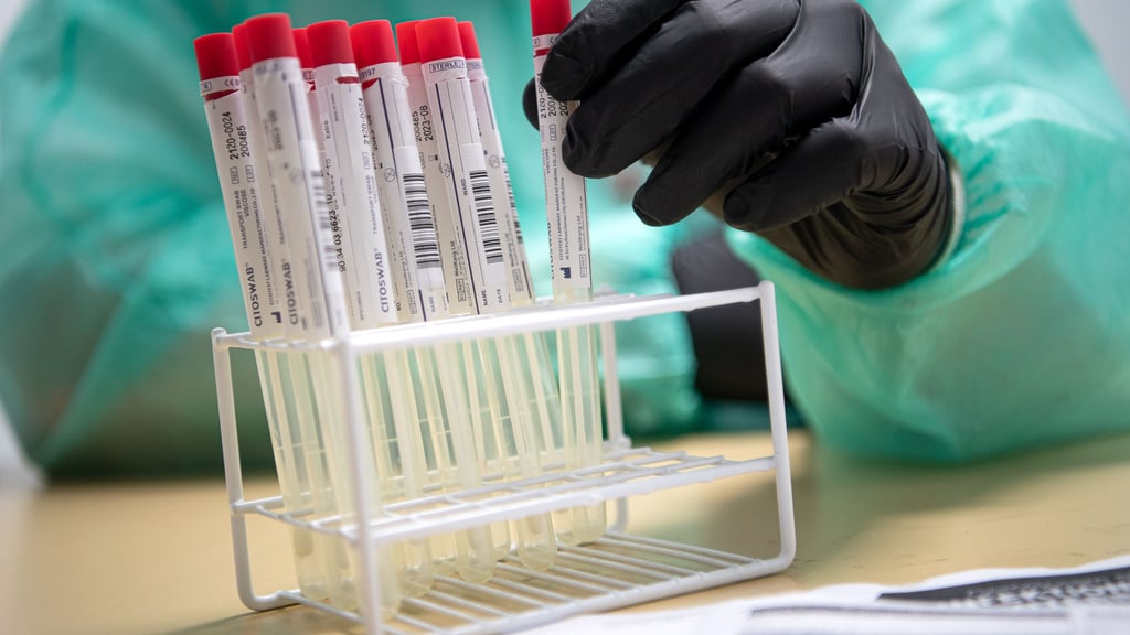 Proben für einen PCR-Test werden von einem Mitarbeiter in einem Corona-Testzentrum sortiert.  Fällt ein solcher PCR-Test bei einer Person im Salzland positiv aus, muss diese nicht nur ihre Kontakte bennenen und an das Gesundheitsamt übermitteln, sondern diese auch selber benachrichtigen.