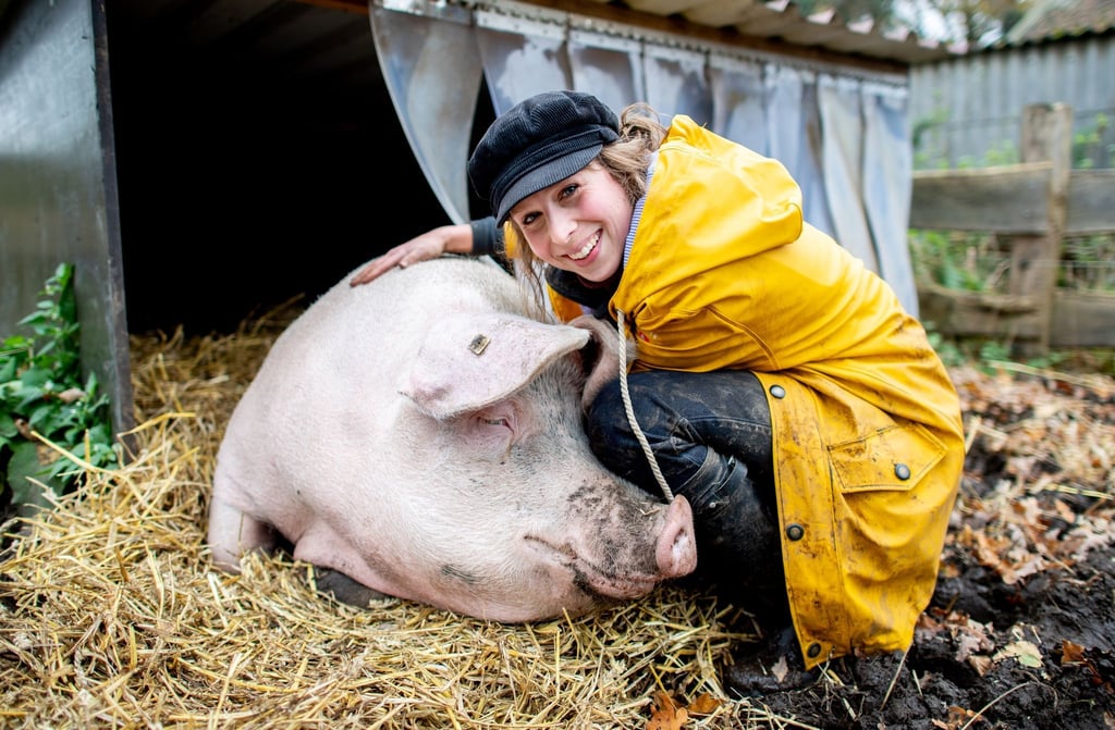 Landwirtin Maren Osterbuhr neben dem ehemaligen Mastschwein Rosalie auf ihrem Hof.