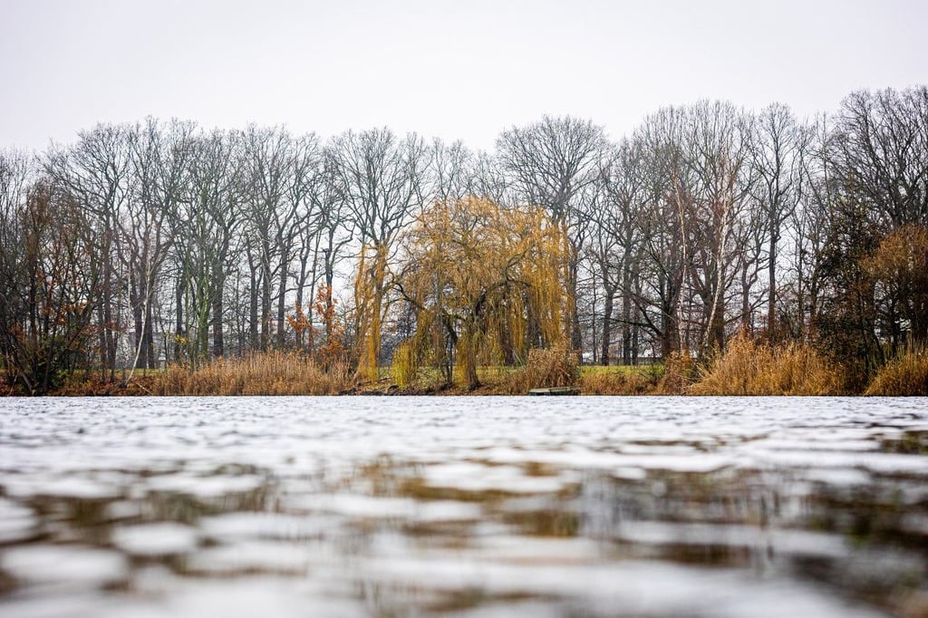 Am Sonntag werden in Sachsen-Anhalt laut Deutschem Wetterdienst Temperaturen bis zu sechs Grad erwartet.