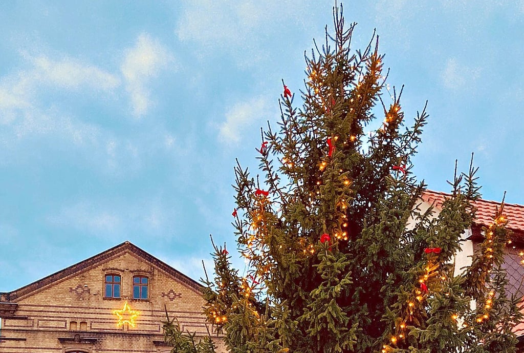 Das Aufstellen des Weihnachtsbaumes bringt Weihnachtsstimmung in den Ort.