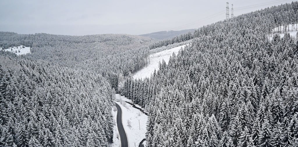 Der Thüringer Wald im Winterkleid (am 9.12.).