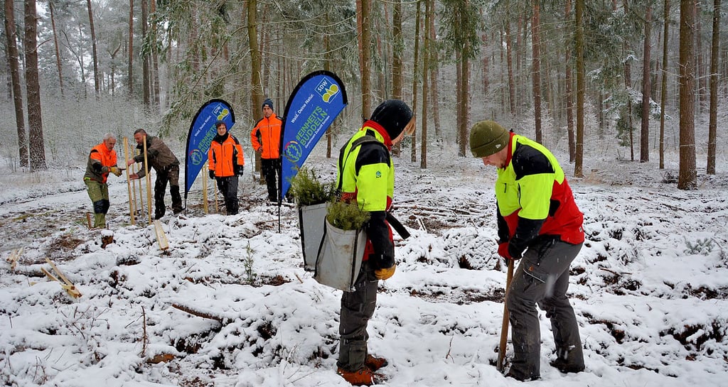 „Einheitsbuddeln“ in der Gemarkung Engersen: Auszubildende des Betreuungsforstamtes Westliche Altmark bei der Arbeit.