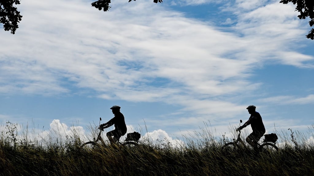 ARCHIV - Fahrradfahrer sind auf einem Radweg unterwegs. Foto: Patrick Pleul/dpa/Archivbild