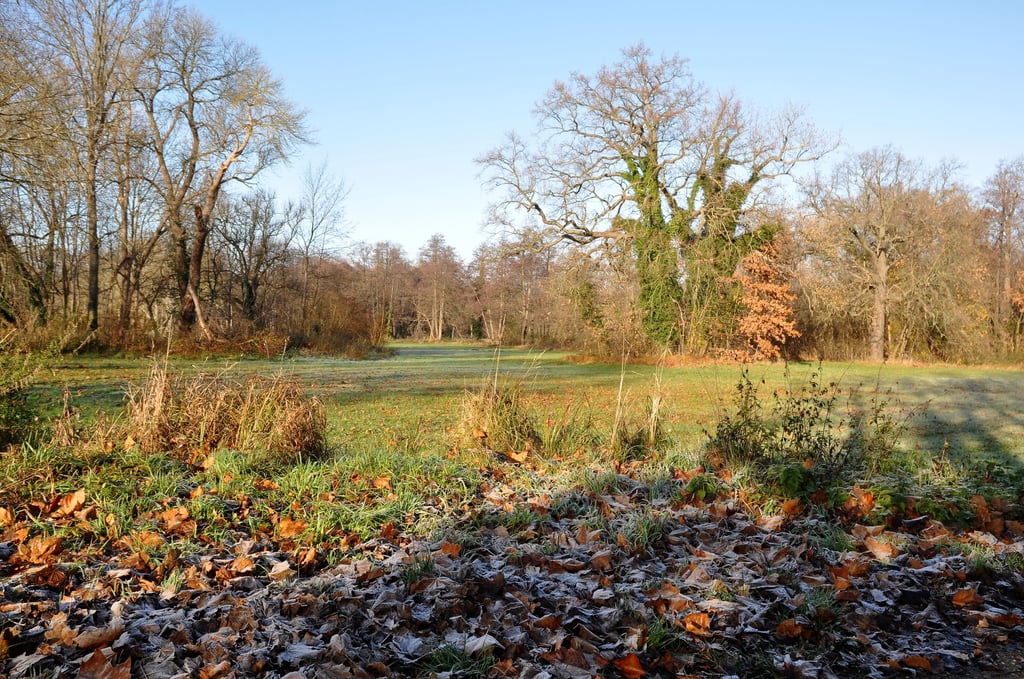 Der Volkspark, wie er sich momentan präsentiert.